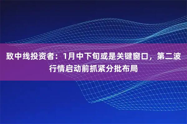 致中线投资者：1月中下旬或是关键窗口，第二波行情启动前抓紧分批布局